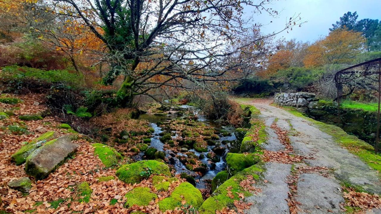 Casa Do Sertao Para 4 Pessoas -Geres Viana do Castelo Kültér fotó